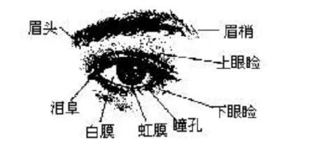 眼頭紋面相|金自在相面秘訣——眼睛篇